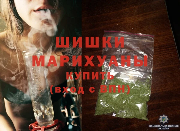 спиды Вяземский