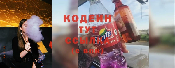 спиды Вяземский