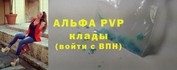 спиды Вяземский