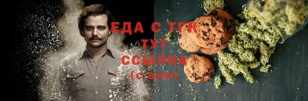 спиды Вяземский