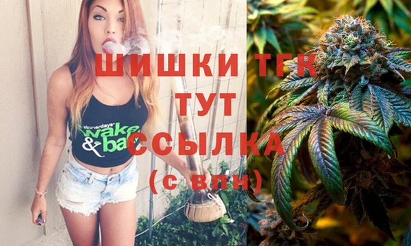 спиды Вяземский