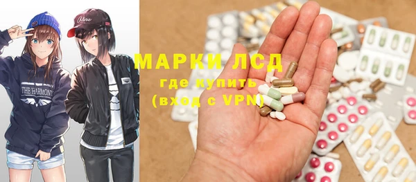 спиды Вяземский