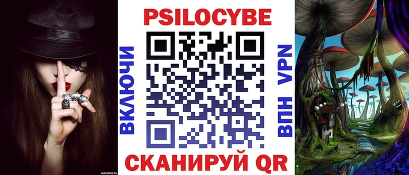 Купить закладки  Шахунья  Псилоцибиновые грибы MAGIC MUSHROOMS 